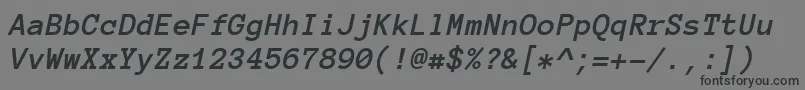 Anonymouspro Bolditalic Font – Black Fonts on Gray Background
