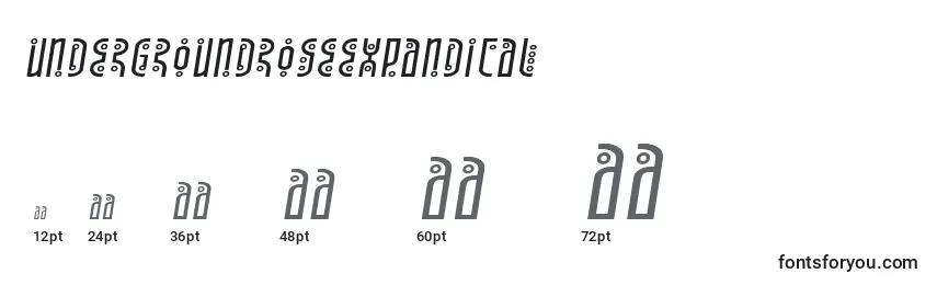 Undergroundroseexpandital Font Sizes