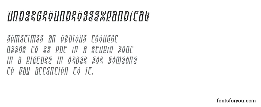 Review of the Undergroundroseexpandital Font