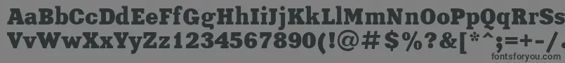 Шрифт Xenia – чёрные шрифты на сером фоне