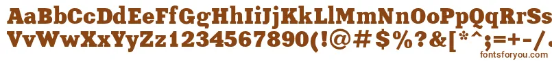 Xenia-fontti – ruskeat fontit valkoisella taustalla