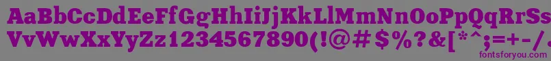 Xenia-fontti – violetit fontit harmaalla taustalla