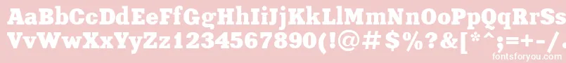 Xenia Font – White Fonts on Pink Background