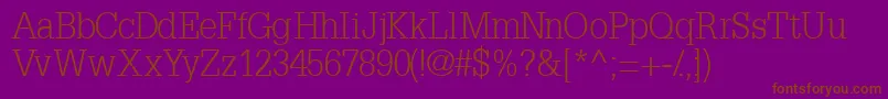 InstallationlightsskBold Font – Brown Fonts on Purple Background