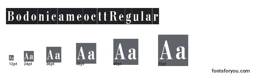 BodonicameocttRegular Font Sizes