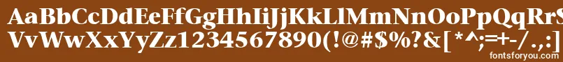 フォントPrudentialheavyRegular – 茶色の背景に白い文字