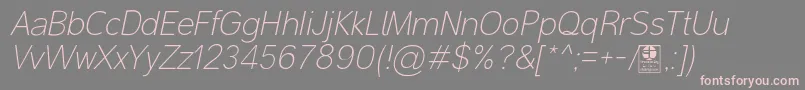 MalterSansThinItalicDemo Font – Pink Fonts on Gray Background