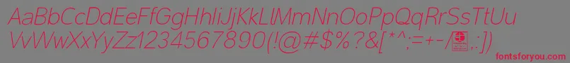 MalterSansThinItalicDemo Font – Red Fonts on Gray Background