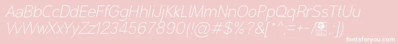 MalterSansThinItalicDemo Font – White Fonts on Pink Background