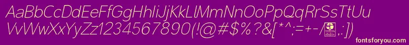 MalterSansThinItalicDemo Font – Yellow Fonts on Purple Background