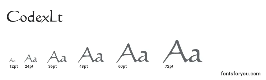 CodexLt Font Sizes