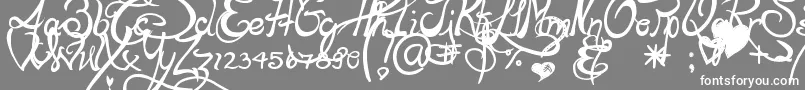 Lapointesroad Font – White Fonts on Gray Background