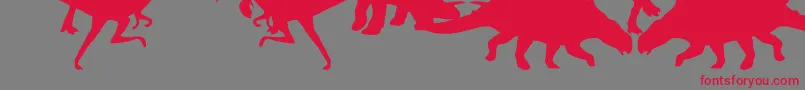 Dingosaurs Font – Red Fonts on Gray Background