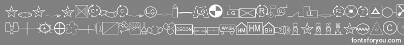 EsriSds2.001 Font – White Fonts on Gray Background