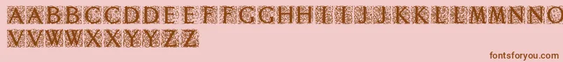 Decoratedromaninitials Font – Brown Fonts on Pink Background