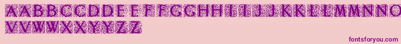 Decoratedromaninitials Font – Purple Fonts on Pink Background