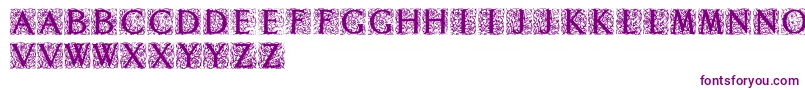 Decoratedromaninitials Font – Purple Fonts on White Background