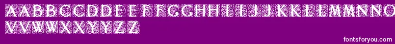 Decoratedromaninitials-Schriftart – Weiße Schriften auf violettem Hintergrund