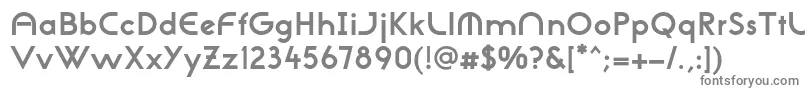 フォントNeogothisadfstdBold – 白い背景に灰色の文字