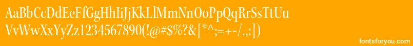 フォントKeplerstdCnsubh – オレンジの背景に白い文字