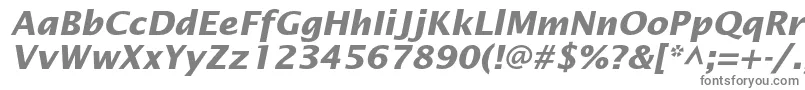 LucidasansstdBolditalic-fontti – harmaat kirjasimet valkoisella taustalla