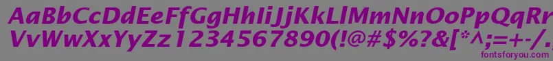 LucidasansstdBolditalic-Schriftart – Violette Schriften auf grauem Hintergrund