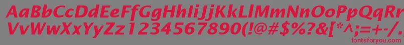 LucidasansstdBolditalic Font – Red Fonts on Gray Background