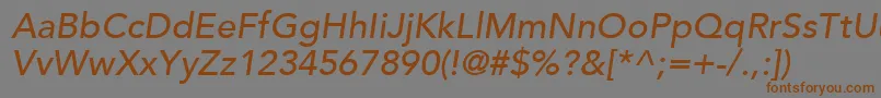AvenirLt65MediumOblique Font – Brown Fonts on Gray Background