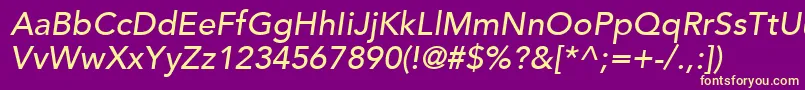 AvenirLt65MediumOblique Font – Yellow Fonts on Purple Background