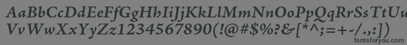 フォントAjensonproBolditcapt – 黒い文字の灰色の背景