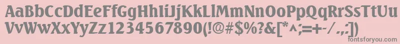 SeabirdSfBold Font – Gray Fonts on Pink Background