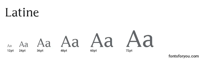 Размеры шрифта Latine
