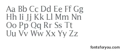 Обзор шрифта Latine