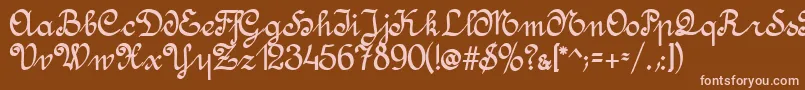 AmptmannScript Font – Pink Fonts on Brown Background