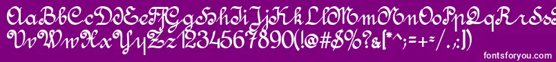 fuente AmptmannScript – Fuentes Blancas Sobre Fondo Morado