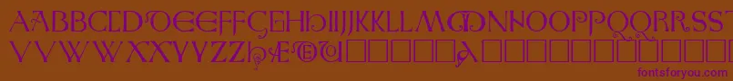 AngloSaxonCaps Font – Purple Fonts on Brown Background