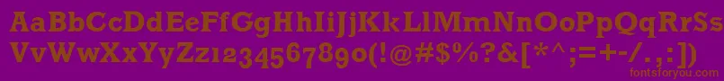 MklatinBold Font – Brown Fonts on Purple Background