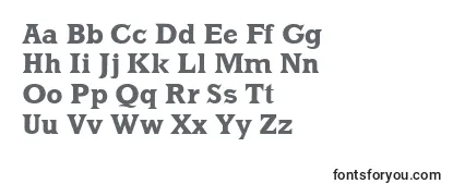 MklatinBold Font
