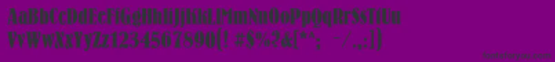 Bernhardc Font – Black Fonts on Purple Background