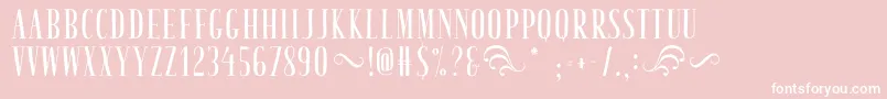 TastyBirdsFried Font – White Fonts on Pink Background