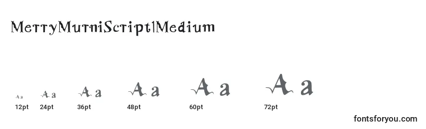 Размеры шрифта MerryMurniScript1Medium
