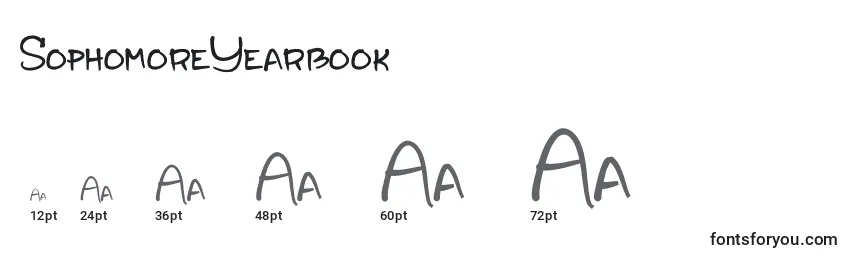 SophomoreYearbook Font Sizes