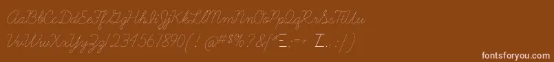 Learningcurvedashed Font – Pink Fonts on Brown Background