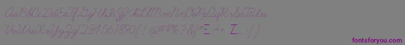 Learningcurvedashed Font – Purple Fonts on Gray Background