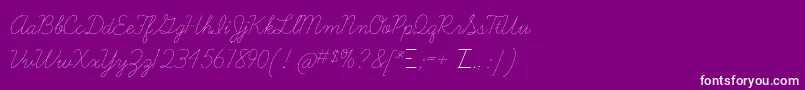 Learningcurvedashed-Schriftart – Weiße Schriften auf violettem Hintergrund