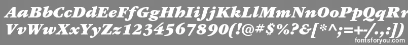 フォントItcgaramondstdUltita – 灰色の背景に白い文字