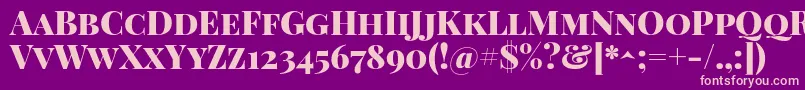 PlayfairdisplayscBlack Font – Pink Fonts on Purple Background