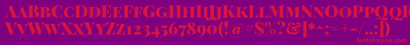 PlayfairdisplayscBlack Font – Red Fonts on Purple Background