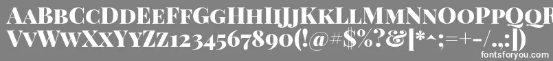 フォントPlayfairdisplayscBlack – 灰色の背景に白い文字