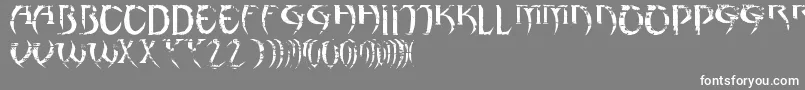 フォントZeddan – 灰色の背景に白い文字